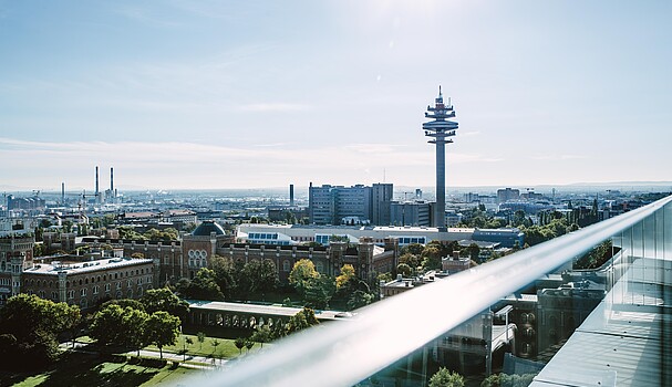 View of Vienna and a large tower from an outlook spot on a sunny day